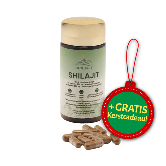 SHILAFIT® | Shilajit Easycaps Ergänzungsmittel